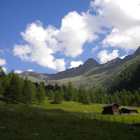 Bed & Breakfast Dolomiti Bey Haus Pinter Assling ภายนอก รูปภาพ