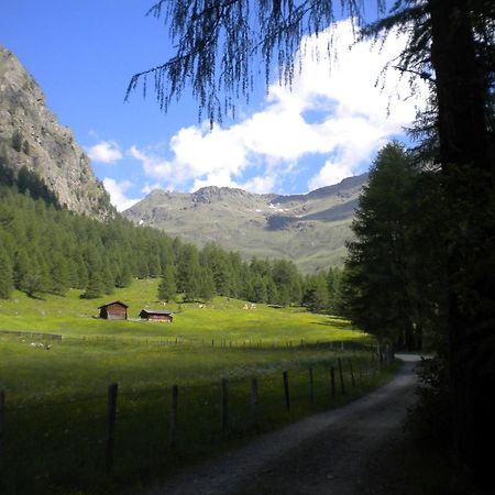 Bed & Breakfast Dolomiti Bey Haus Pinter Assling ภายนอก รูปภาพ
