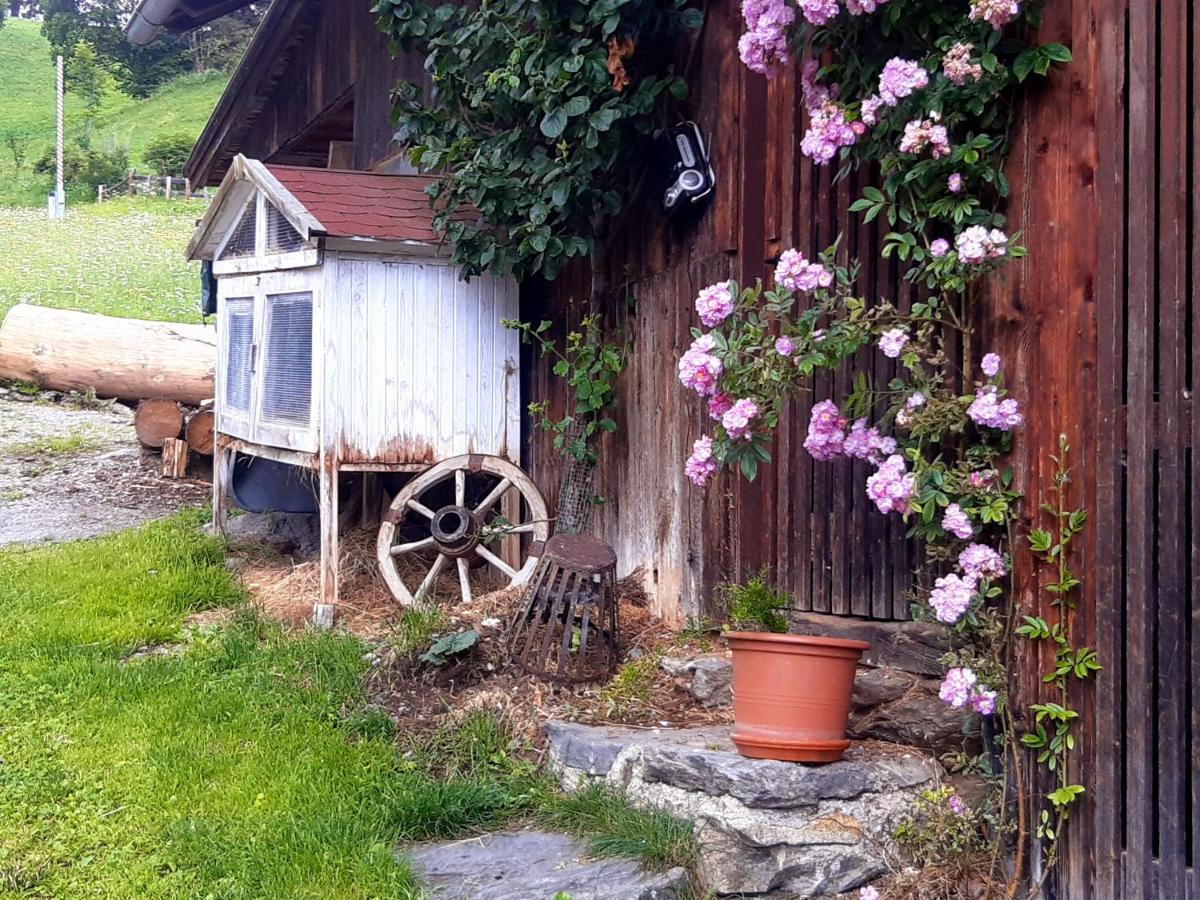 Bed & Breakfast Dolomiti Bey Haus Pinter Assling ภายนอก รูปภาพ