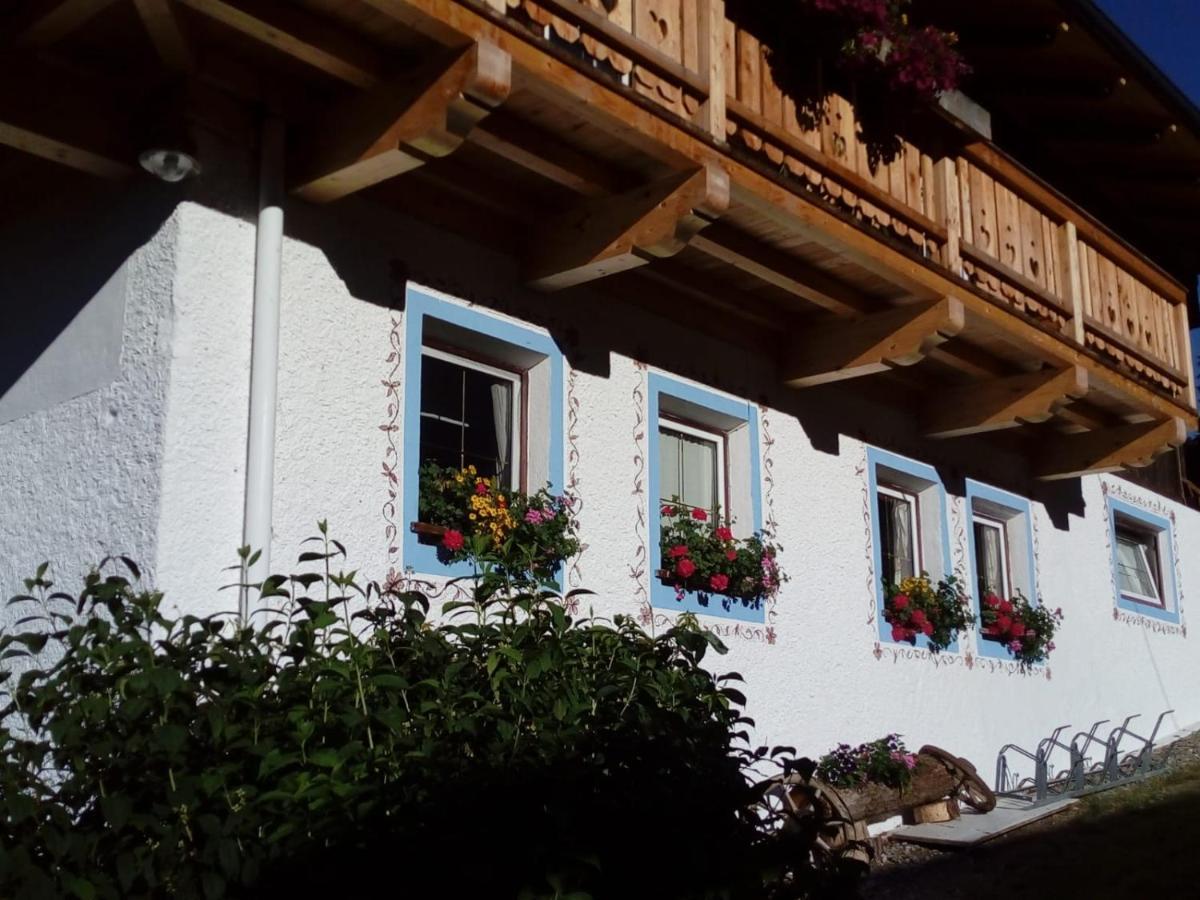 Bed & Breakfast Dolomiti Bey Haus Pinter Assling ภายนอก รูปภาพ