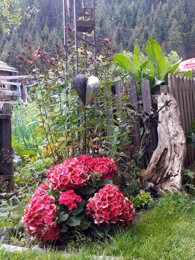 Bed & Breakfast Dolomiti Bey Haus Pinter Assling ภายนอก รูปภาพ