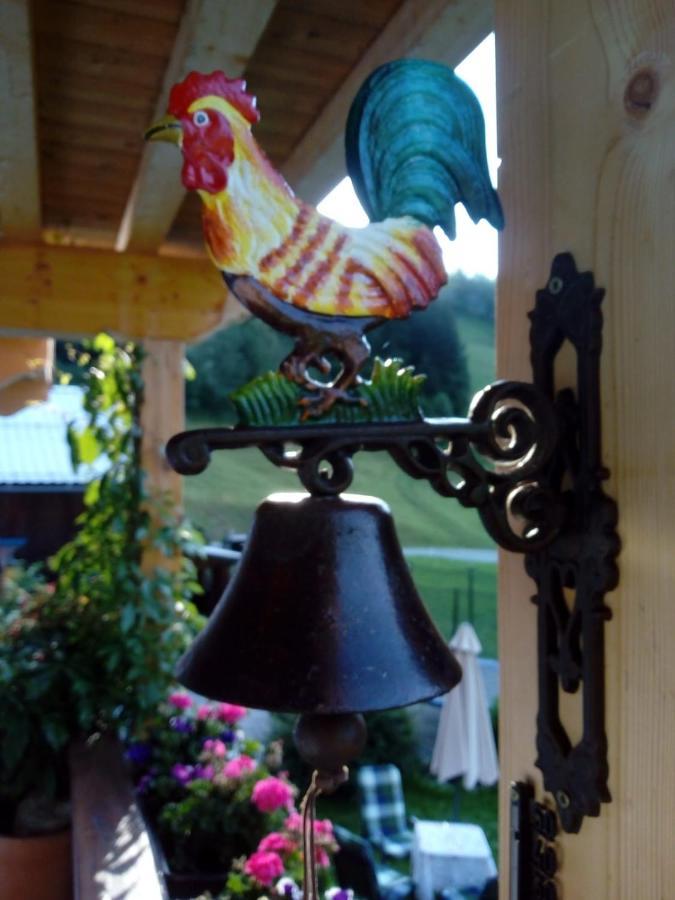 Bed & Breakfast Dolomiti Bey Haus Pinter Assling ภายนอก รูปภาพ