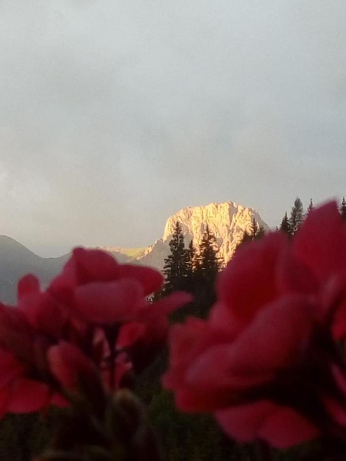 Bed & Breakfast Dolomiti Bey Haus Pinter Assling ภายนอก รูปภาพ