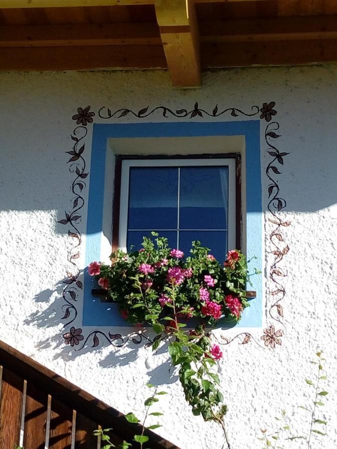Bed & Breakfast Dolomiti Bey Haus Pinter Assling ภายนอก รูปภาพ