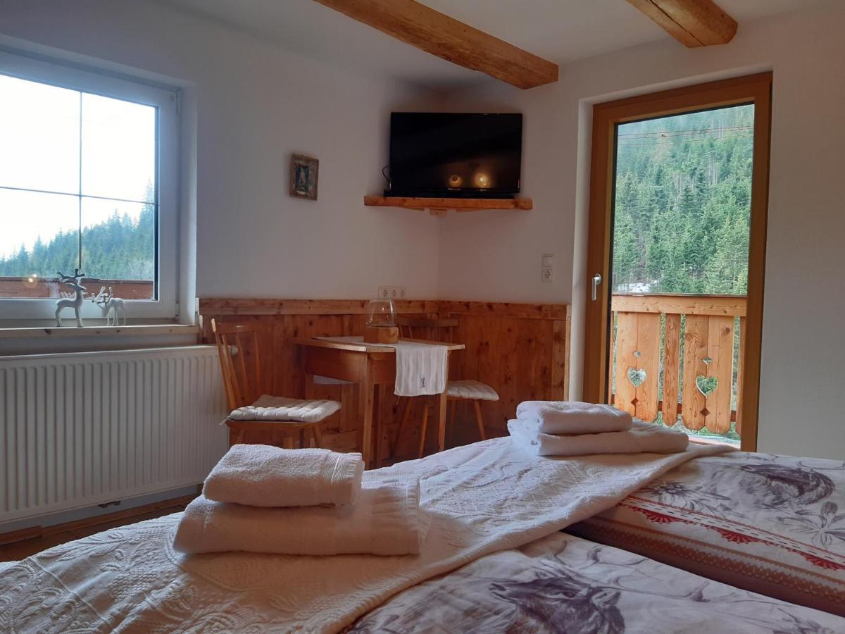 Bed & Breakfast Dolomiti Bey Haus Pinter Assling ภายนอก รูปภาพ