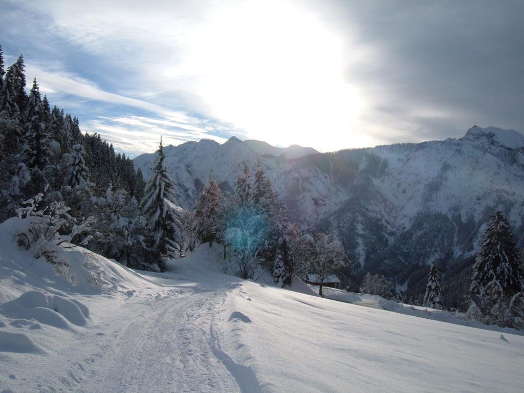 Bed & Breakfast Dolomiti Bey Haus Pinter Assling ภายนอก รูปภาพ