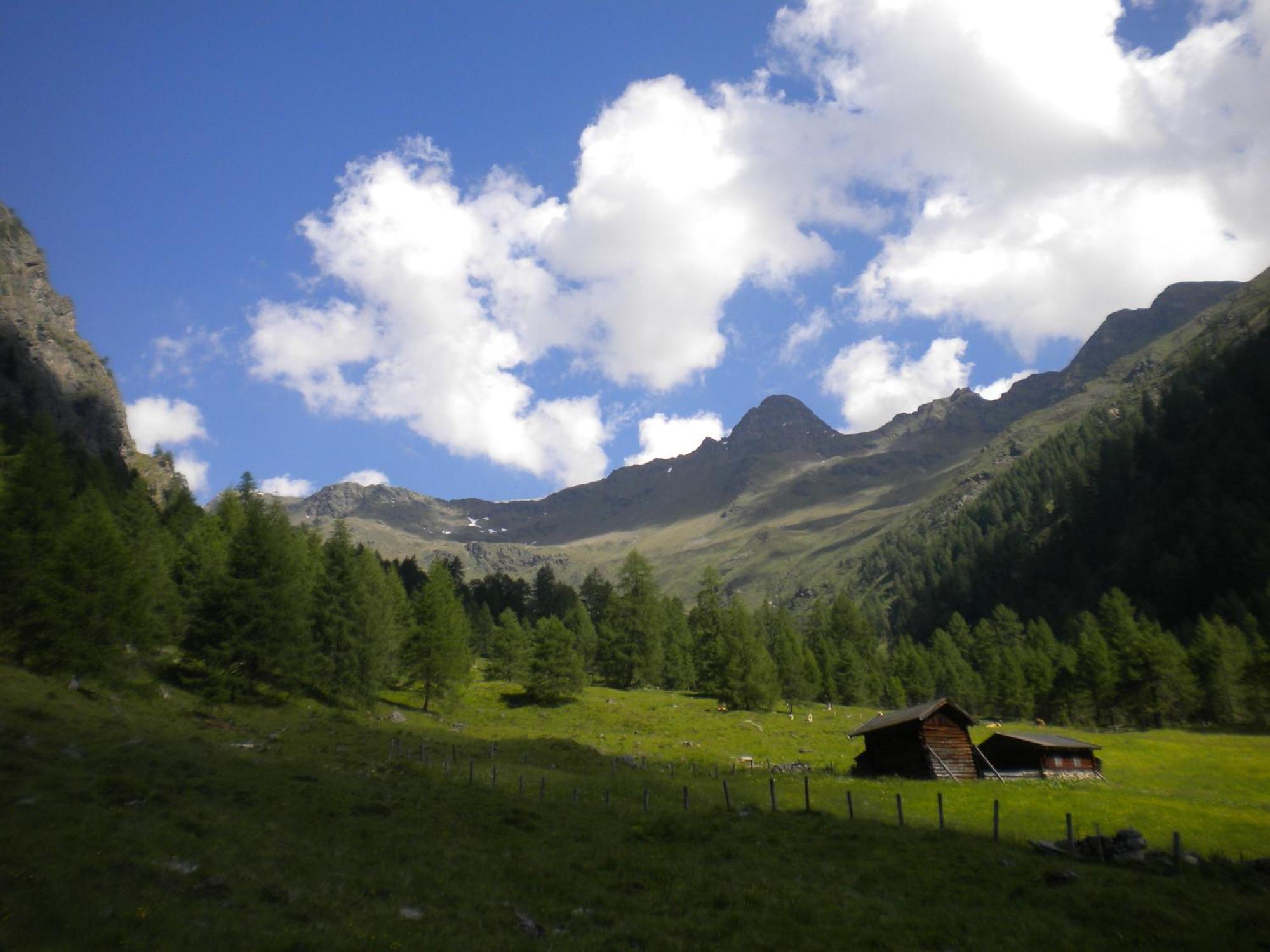 Bed & Breakfast Dolomiti Bey Haus Pinter Assling ภายนอก รูปภาพ