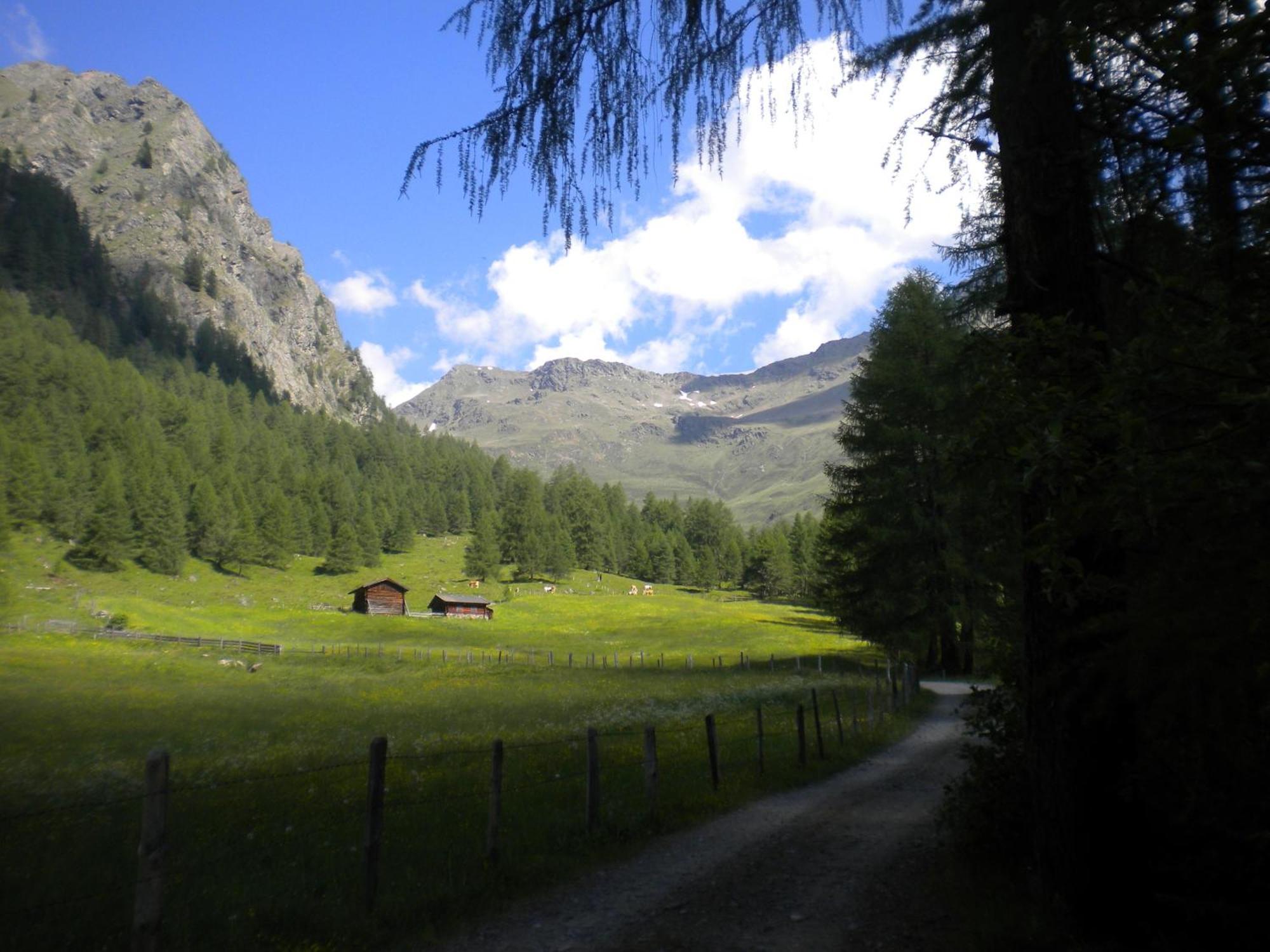 Bed & Breakfast Dolomiti Bey Haus Pinter Assling ภายนอก รูปภาพ