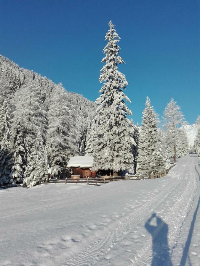 Bed & Breakfast Dolomiti Bey Haus Pinter Assling ภายนอก รูปภาพ