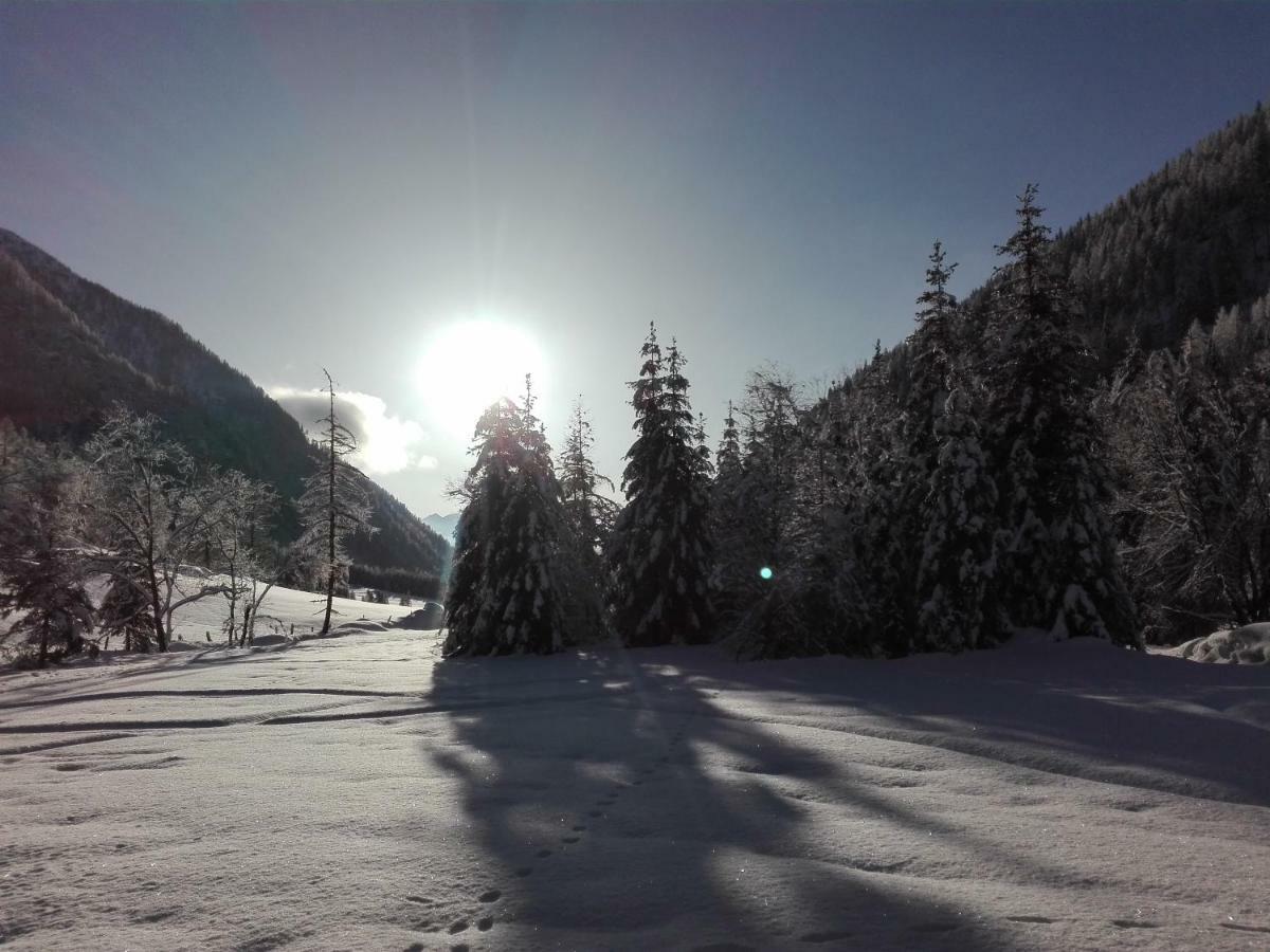 Bed & Breakfast Dolomiti Bey Haus Pinter Assling ภายนอก รูปภาพ